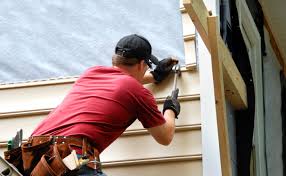 Best Siding Painting and Refinishing  in USA